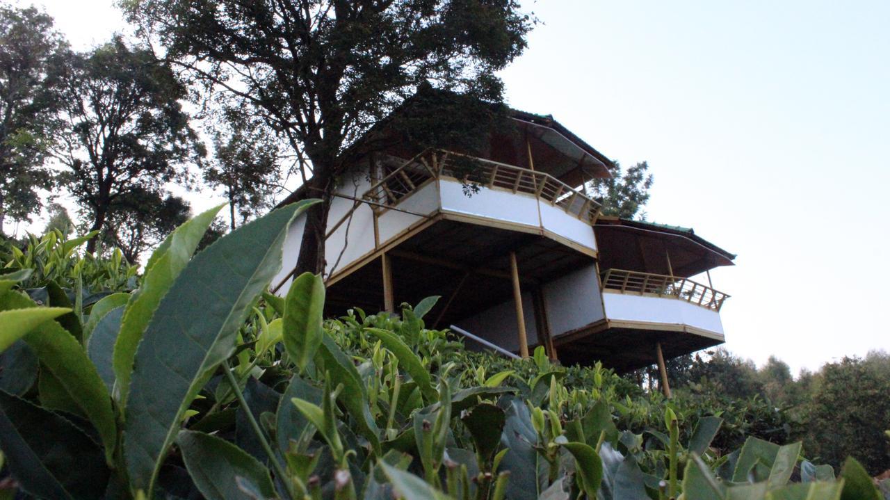 Vythiri Hills Hotel Kültér fotó